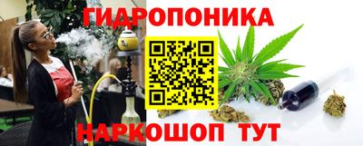мдпв Аша